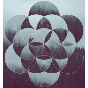 Sacred geometry and forest