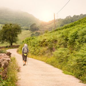 Person taking a pilgrimage down a dirt path