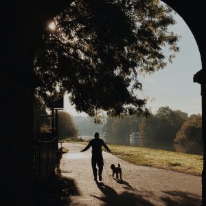 Silhouette of person walking their dog through a dark tunnel into light