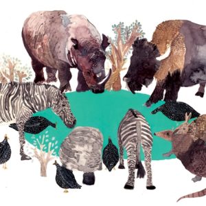 Illustration of animals around watering hold