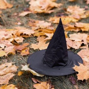 witch hat in leaves