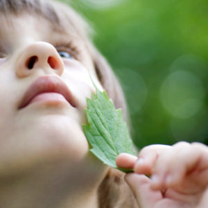 Child looking at tree with wonder