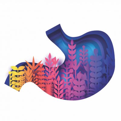 Colorful illustration of stomach organ, with plants growing inside to symbolize gut health