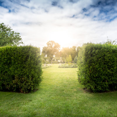 peaking into the entrance of a labyrinth