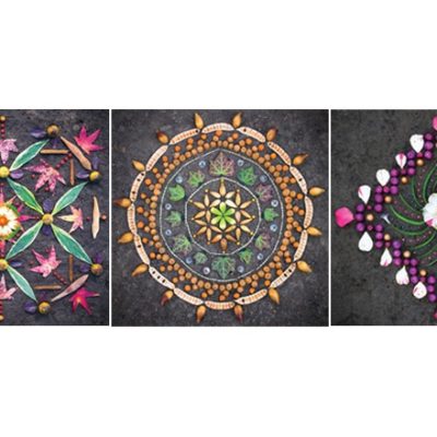 Three mandalas made from items foraged in nature