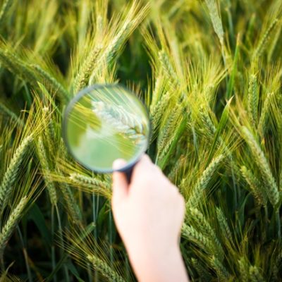 Child looking through magnifying glass at grass