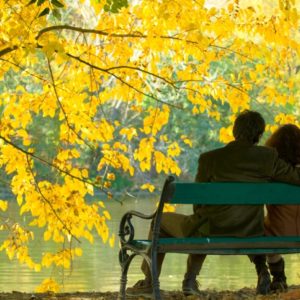 Mindfulness and multitasking: A couple on a bench