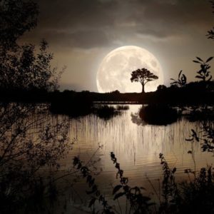 <em>Edit Blog entry</em> The Moon’s Effect on Sleep