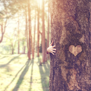Connect with nature spiritually by hugging a tree