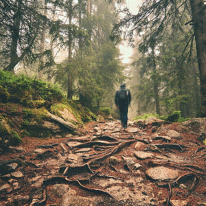 walking through forest