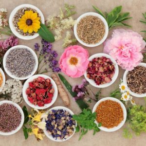 colorful flowers and herbs from above