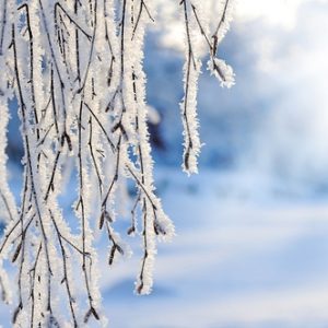 Loss and a Snowflake: A Ritual for Healing