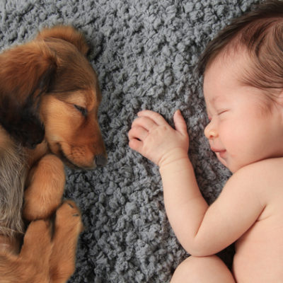 Baby girl sleeping with dachschund puppy