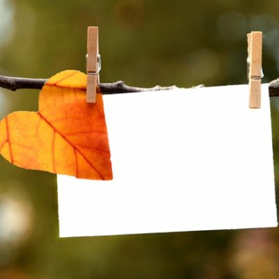 Notecard and leaf on line