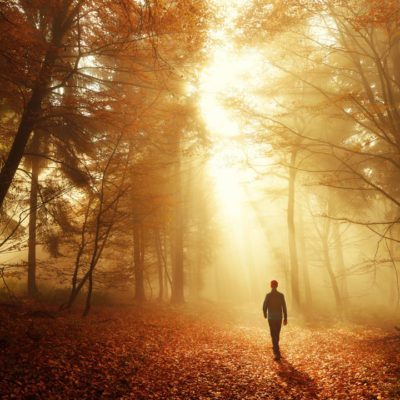 Man walking in woods with golden light