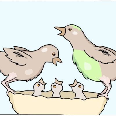A bird family in a nest