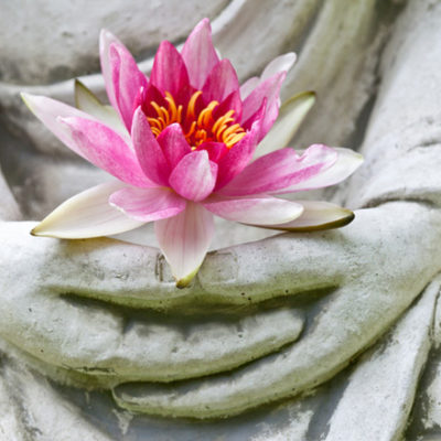 buddha flower