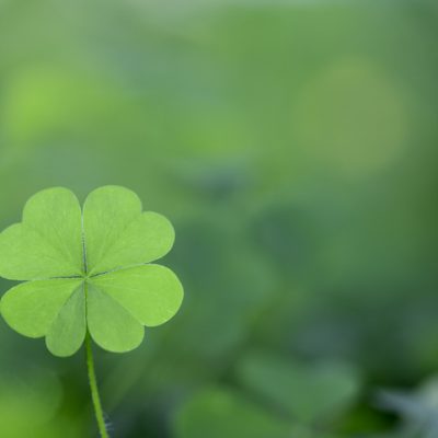 What does spirtuality have to do with luck? Represented here with a lucky four leaf clover.