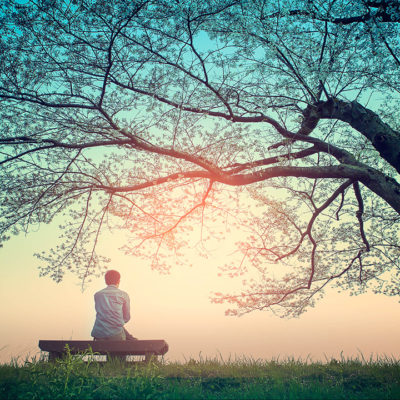 Man on bench under tree