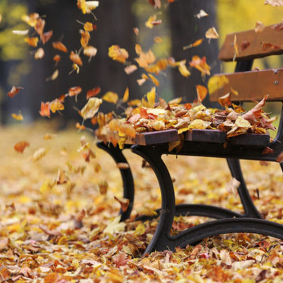 fall bench