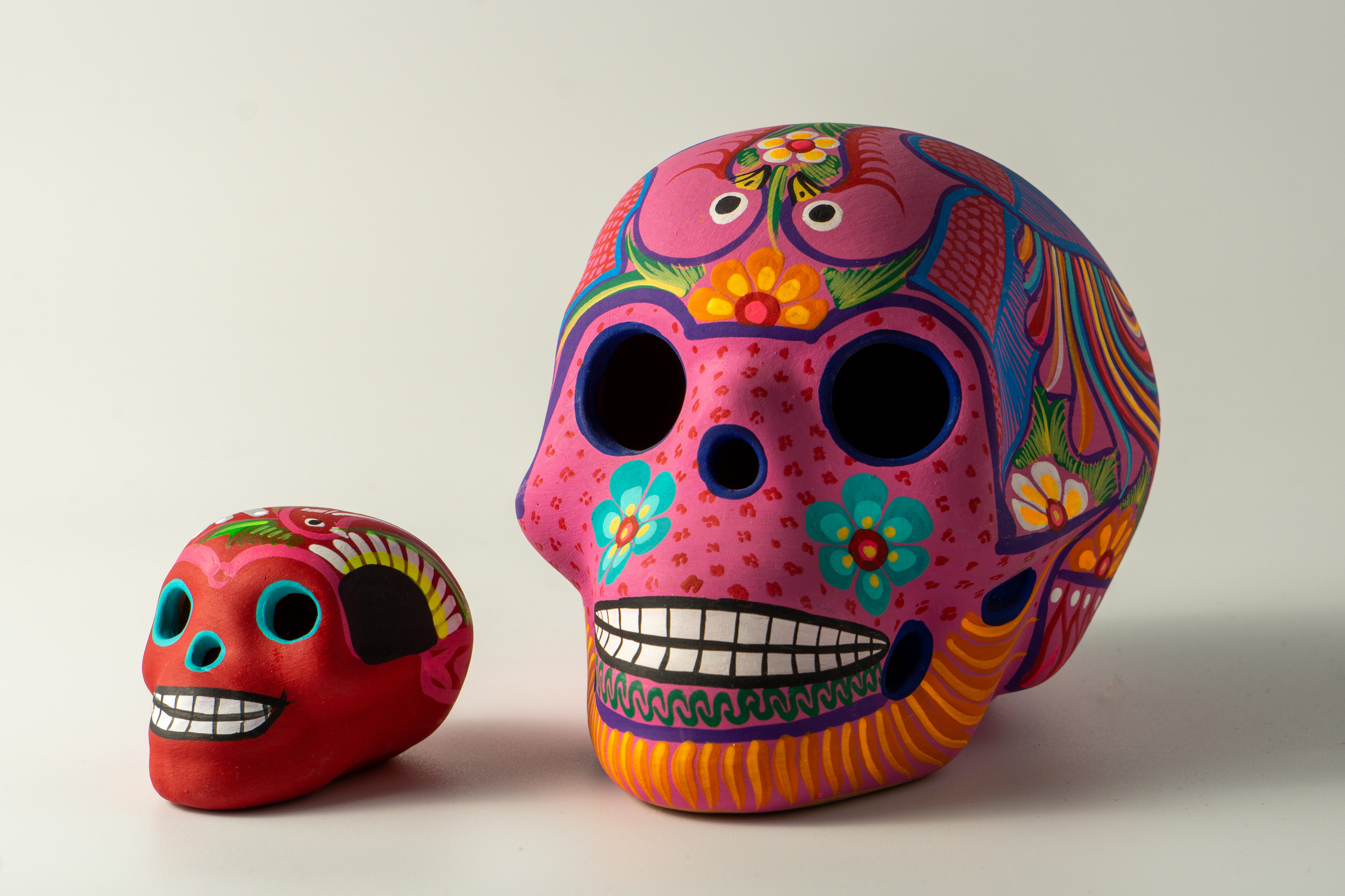 Dia de los Muertos skull for death awareness