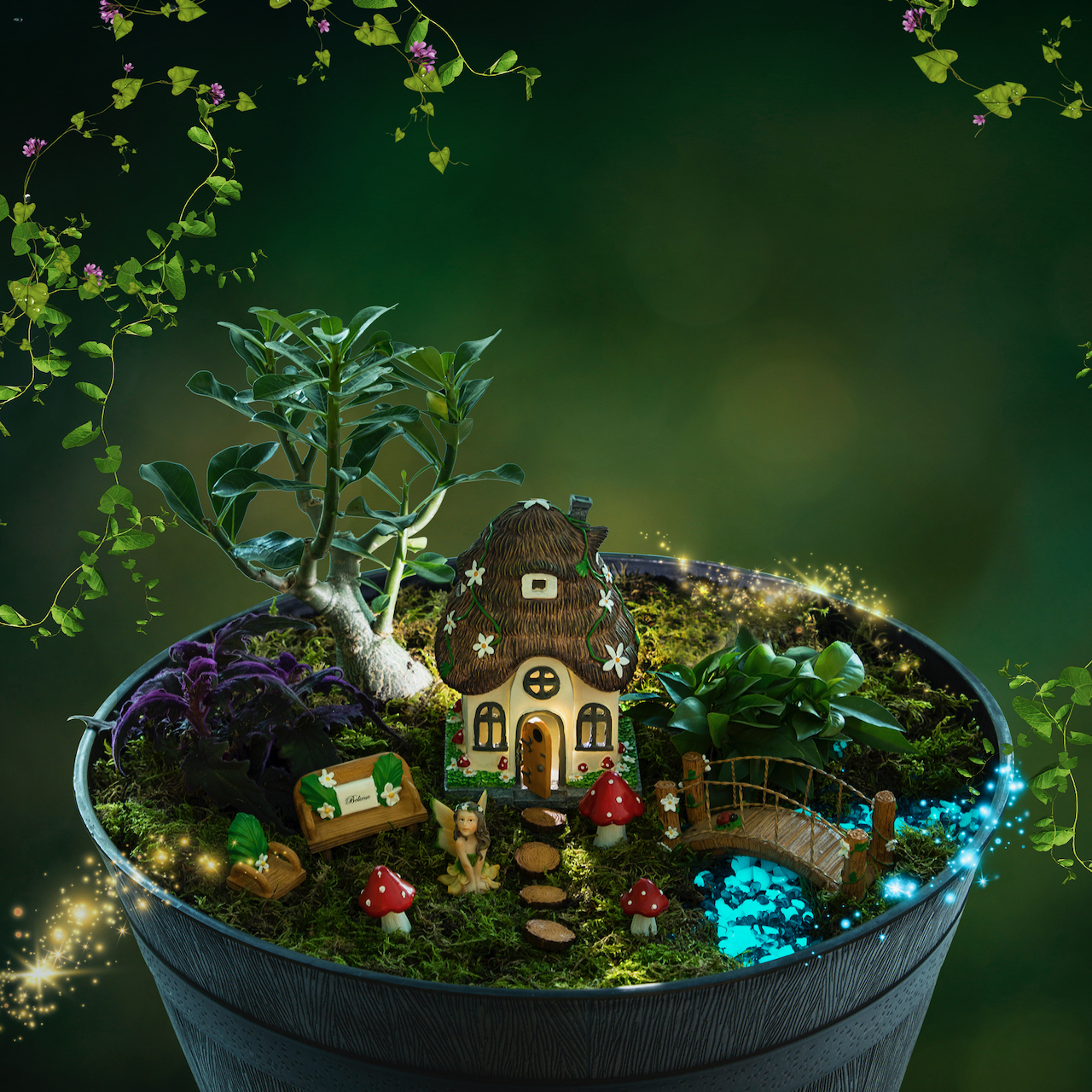 Nightime fairy garden