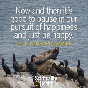 Now and then it's good to pause in our pursuit of happiness and just be happy