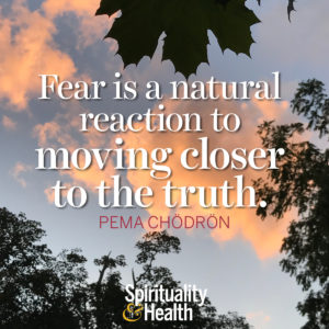 <p>Fear is a natural reaction to moving closer to the truth. - Pema Chödrön</p>