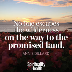 <p>No one escapes the wilderness on the way to the promised land. - Annie Dillard</p>