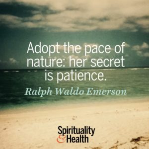 Adopt the pace of nature her secret is patience