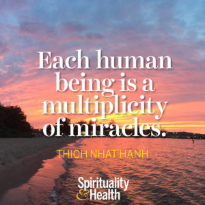 <p>Each human being is a multiplicity of miracles. - Thich Nhat Hanh</p>