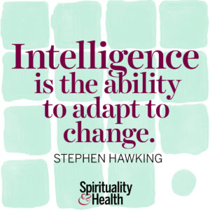 <p>Intelligence is the ability to adapt to change. - Stephen Hawking</p>