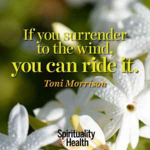 If you surrender to the wind you can ride it