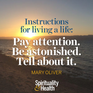 <p>Instructions for living a life: Pay attention. Be astonished. Tell about it. - Mary Oliver</p>