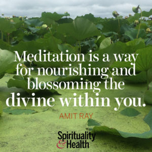 Meditation is a way for nourishing and blossoming the divine within you