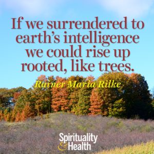 If we surrendered to earths intelligence we could rise up rooted like trees