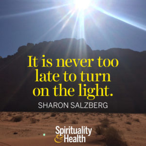 <p>It is never too late to turn on the light. - Sharon Salzberg</p>