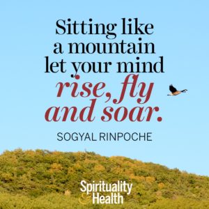 Sitting like a mountain let you mind rise, fly, and soar