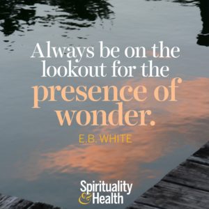 Always be on the lookout for the presence of wonder