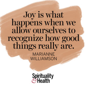 <p>Joy is what happens when we allow ourselves to recognize how good things really are. - Marianne Williamson</p>
