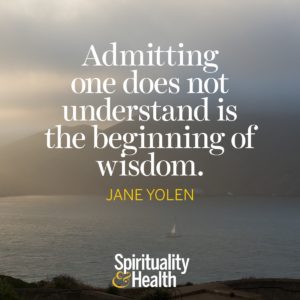 Admitting one does not understand is the beginning of wisdom