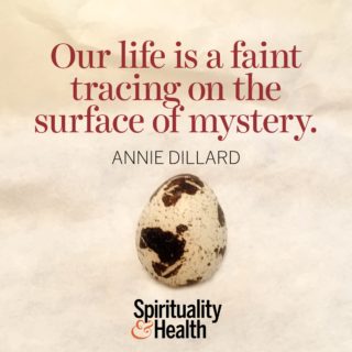 Annie Dillard on our place in the universe - Our life is a faint tracing on the surface of mystery.