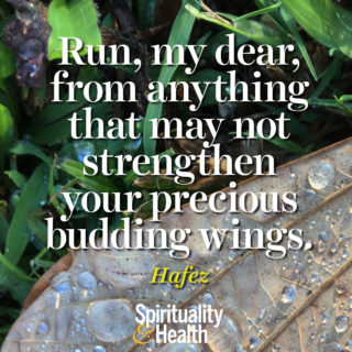 Hafez on letting go - Run, my dear, from anything that may not strengthen your precious budding wings.
