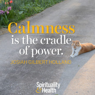 Josiah Gilbert Holland on power - Calmness is the cradle of power
