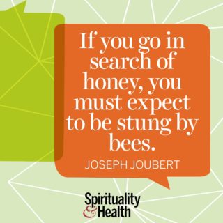 Joseph Joubert on the harsh reality of life - If you go in search of honey you must expect to be stung by bees