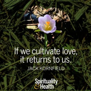 Jack Kornfield on giving and receiving love - If we cultivate love it returns to us