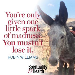 Robin Williams on the creative spark - You're only given one little spark of madness. You mustn't lose it. - Robin Williams