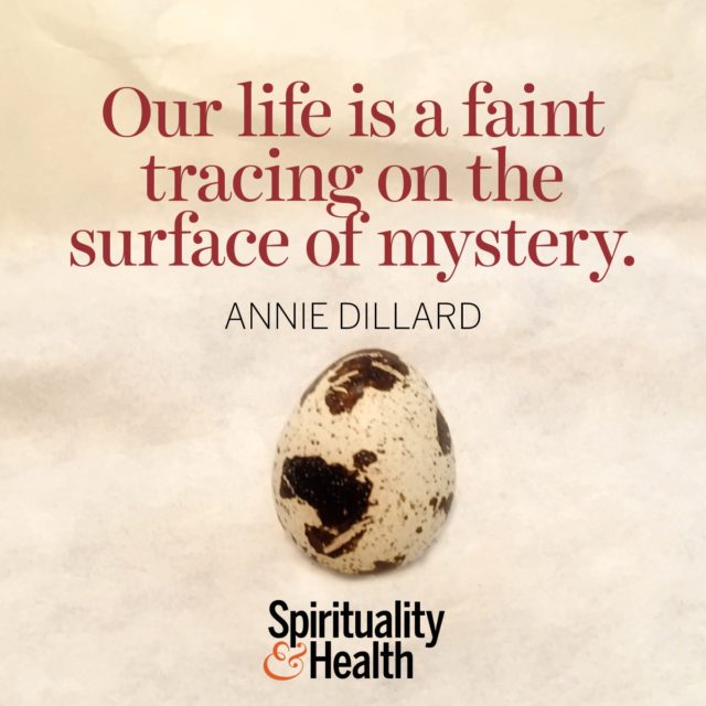 Annie Dillard on our place in the universe