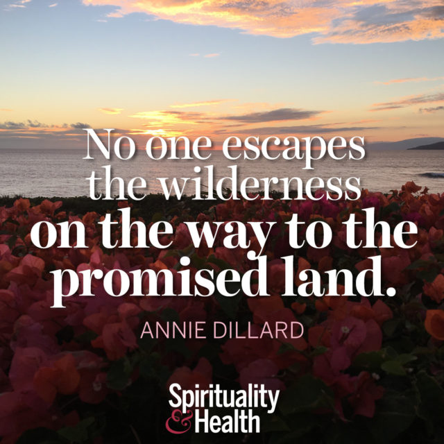 Annie Dillard on the Wilderness