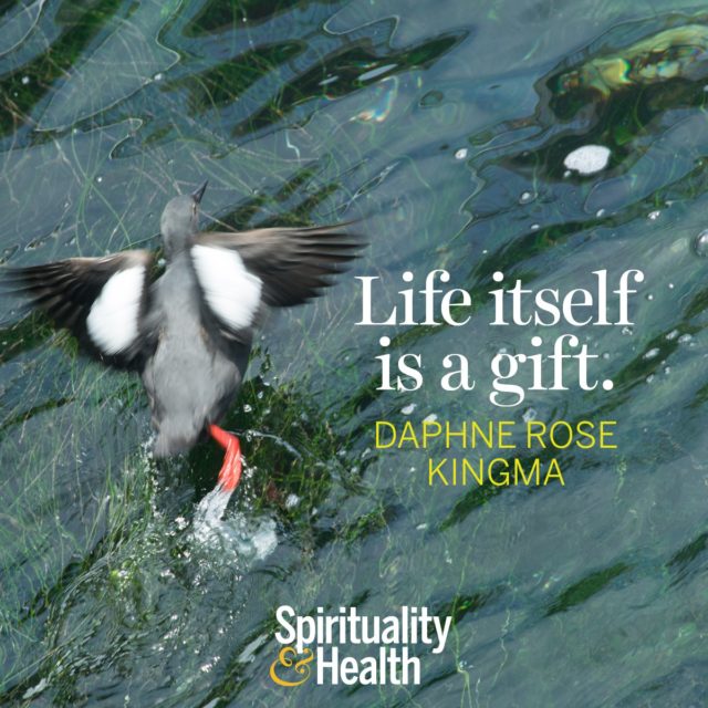 Daphne Rose Kingma on Life and Gratitude